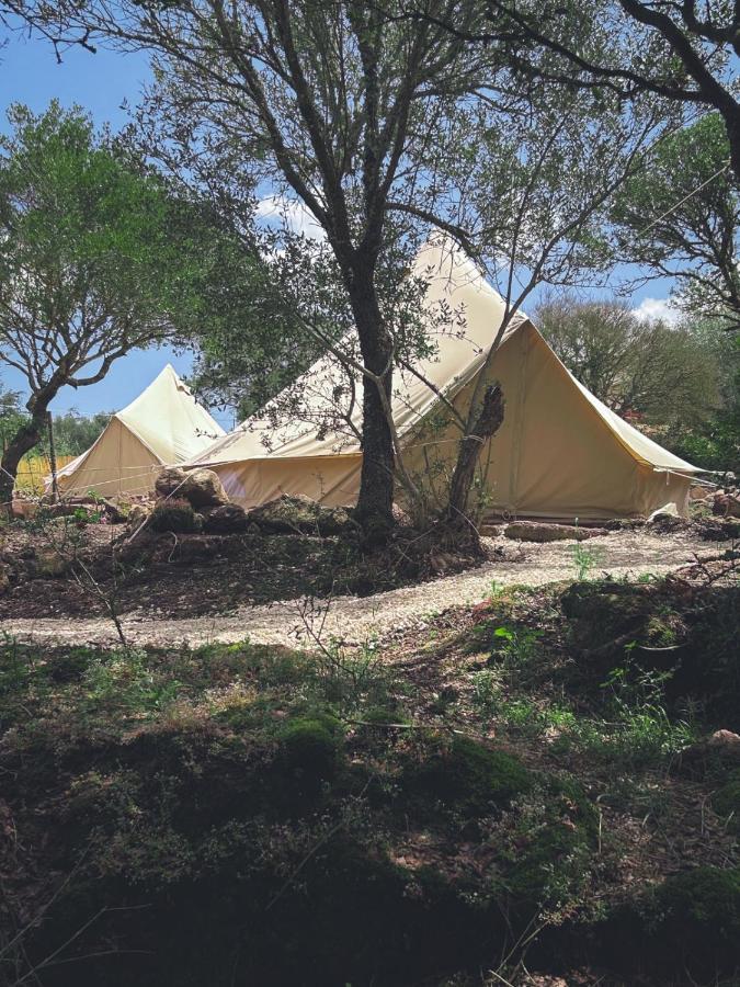 Hotel Pasare Glamping_Anglonaruralexperience Perfugas Zewnętrze zdjęcie