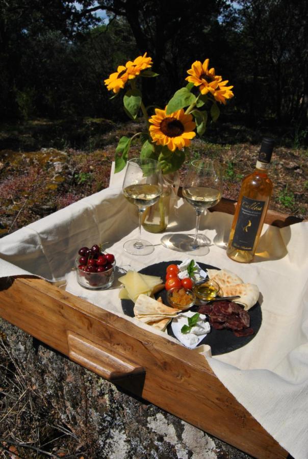 Hotel Pasare Glamping_Anglonaruralexperience Perfugas Zewnętrze zdjęcie