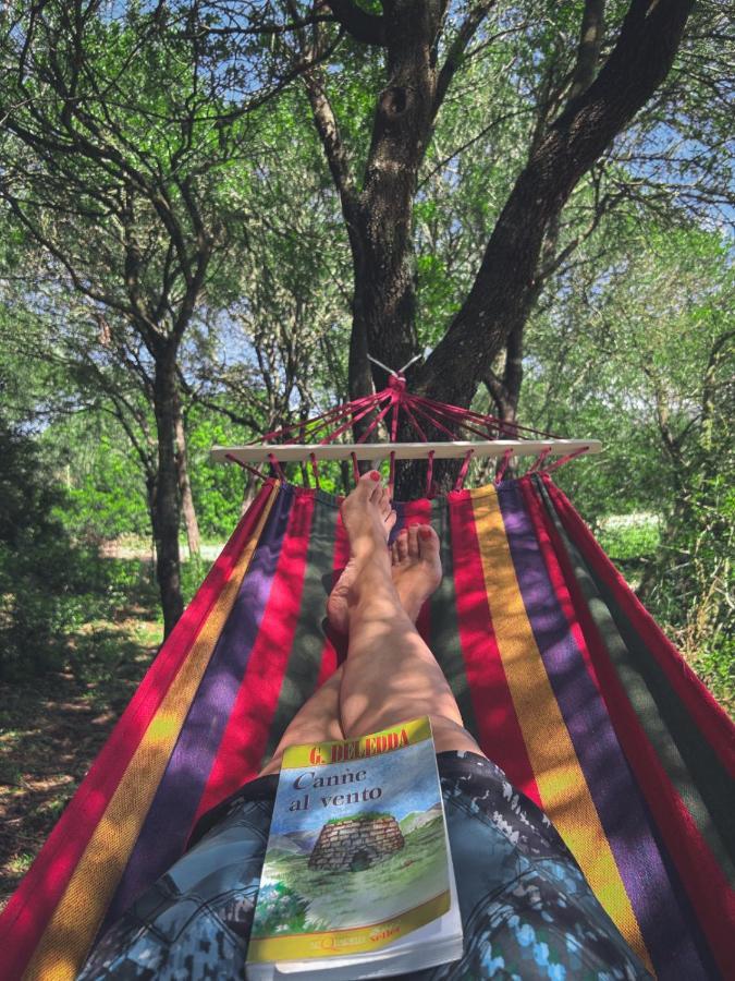 Hotel Pasare Glamping_Anglonaruralexperience Perfugas Zewnętrze zdjęcie