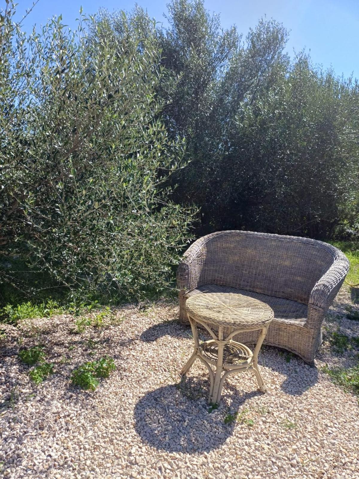 Hotel Pasare Glamping_Anglonaruralexperience Perfugas Zewnętrze zdjęcie